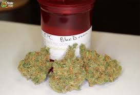 Promotions, new products and sales. Review Blue Dream Steemit