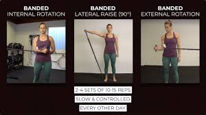 Image result for Shoulder Strength Exercises