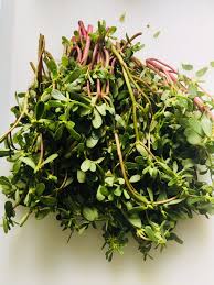 Chival bhaji or ghol chi bhaji is the recipe i am blogging about today. Purslane The Omega 3 Powerhouse Native Batch
