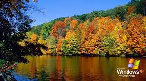 We've pulled together an entire collection of articles on xp from all over ziff. Windows Xp Autumn Wallpapers Top Free Windows Xp Autumn Backgrounds Wallpaperaccess