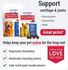 Thinking of giving your dog glucosamine or chondroitin supplements? Glucosamine For Dogs Why It S Important 1800petmeds