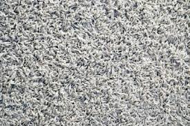 Auf katzen und menschen geht der parasit nicht dauerhaft über. Flohe Im Teppich Was Tun