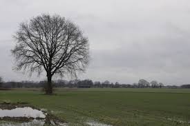 Ein winter , wie er früher einmal war. Wann Wird Es Endlich Wieder Winter Wetterdienst De
