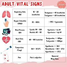 Image result for Vital Sign