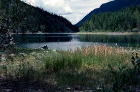 Premier Lake Provincial Park Bc Parks
