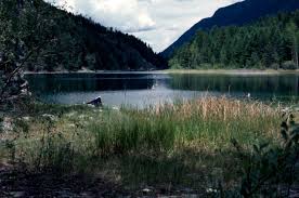 premier lake provincial park bc parks