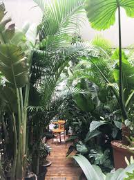 The modern garden design is all about convenience. The Modern House On Twitter The Best Instagram Accounts For Plant Inspiration Https T Co Fno3vw3tif