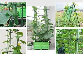 Get great deals on ebay! Steel Garden Stakes Plastic Coated Plant Stakes For Climbing Plants Agfabric