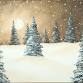 Toledo Paint and Sip Party – Snowy Night - Wine and Canvas Toledo, 5248 Monroe St Event Image