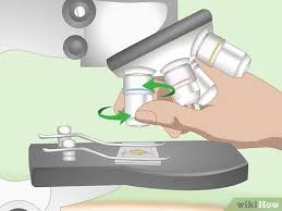 Draw microscope step by step.thank you watching the video. How To Use A Light Microscope 10 Steps With Pictures Wikihow
