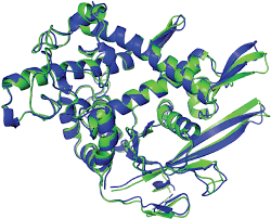 The game has changed.' AI triumphs at protein folding | Science