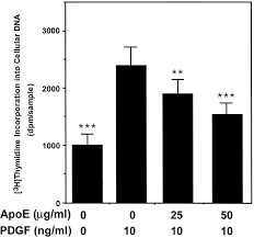 A tendon is simply a fibrous connective tissues from the muscles to the bone elements. Apolipoprotein E Inhibits Platelet Derived Growth Factor Induced Vascular Smooth Muscle Cell Migration And Proliferation By Suppressing Signal Transduction And Preventing Cell Entry To G1 Phase Sciencedirect