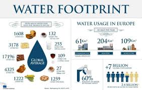 Water Footprint Visual By Waterfootprint Org En About Us The Water Network By Aquaspe Water Footprint Infographic Health Water