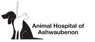 Maybe you would like to learn more about one of these? Where Your Pets Are Part Of The Family