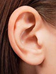 I Belong To The Church Of Jesus Christ Older And Younger Action Word Actions Ear Pimple Helix Piercing Ear