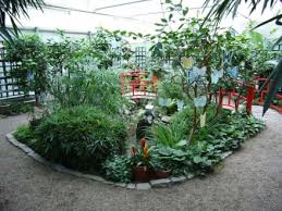 In glaspavillons fliegen hunderte tropischer schmetterlinge. Schmetterlingsgarten Im Schlosspark Sayn Bild Garten Der Schmetterlinge In Bendorf