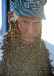 Patrick Ranch threshing bee a look into the past