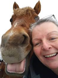 We asked our community to post a picture that makes you smile and we  couldn't resist sharing some of them! 👍❤️ Join our Facebook Private Group  'HorseClass Hub' to chat, learn, and