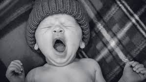Image result for Yawning