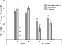 9 octombrie 1970 (50 de ani) bucurești, rs românia. Aphid Infestation In The Phyllosphere Affects Primary Metabolic Profiles In The Arbuscular Mycorrhizal Hyphosphere Scientific Reports