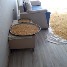 483 Begenme 22 Yorum Instagram Da Sule Nur Gul Ankara Gulnurevyemekleri Biliyorum 2 Gundur Sayfayi Eriste Videosu Ile Doldurdum B In 2020 Dog Bowls Bowl Dogs