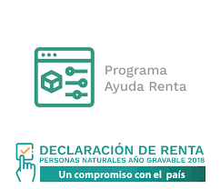 Estimated percentage of visits to www.dian.gov.co that came from a search engine. Paginas Herramientas De Ayuda