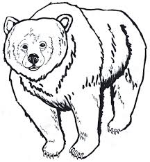 Cute Bear Coloring Pages Ideas Bear Coloring Pages Polar Bear Coloring Page Animal Coloring Pages