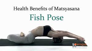 Health Benefits Of Matsyasana The Fish Pose Yoga In Rishikesh