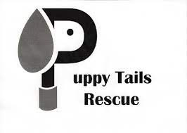 A few weeks ago i found a little puppy through an acquaintance of mine who is fostering him. Pets For Adoption At Puppy Tails Rescue In Oakdale Mn Petfinder