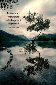 Time For Nature Nature Photography Landscape Photography Landscape