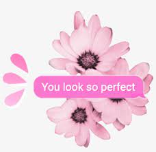 Download Random Pink Tumblr Overlay Aesthetic Kpop Cute Youlooks Aesthetic Overlay For Free Nicepng Prov Overlays Transparent Image Overlay Overlays Picsart