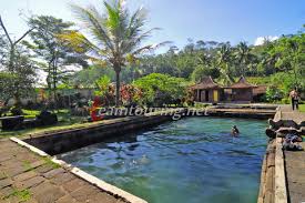 Candi umbul merupakan sebuah pemandian air hangat dan situspeninggalan sejarah. Pemandian Air Hangat Dan Situs Candi Umbul Magelang Teamtouring