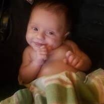 David Scot Halpin Obituary (2024)