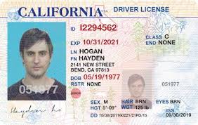 Pin On Fake Driving License