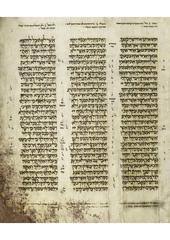 Arn ti mapu, ¿tunten mu kiñe küme mülewe ngetuay? Bibel Wikipedia