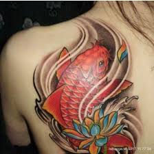 Có thể thấy đây là một ví trí cức kì quyến rủ khi các chị em diện váy để hờ hững. Hinh XÄƒm Ca Chep Ná»­a LÆ°ng Y NghÄ©a Ä'áº¿n Tá»« Net Ä'áº¹p Tinh Táº¿