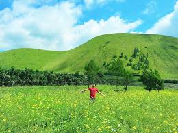 Atau mungkin ada sedang mengalami cinta? Kata Mutiara Tentang Ilalang Kata Mutiara Cinta 2020