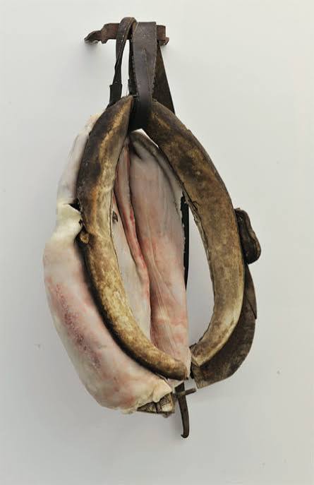 Work by Berlinde De Bruyckere