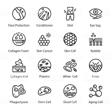 This Is A Set Of Skin Line Vector Icons These Vectors Are Designed In 2020 Icon Skin Line Vector Icons