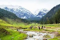Image result for pahalgam