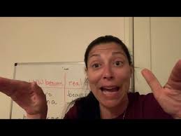 Lion witch and wardrobe dioramas