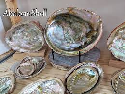It has abalone shell, faux pearls, and white beads that are either glass or very hard plastic. Jacobs Trading It Is Believed Abalone Shells Carry Facebook