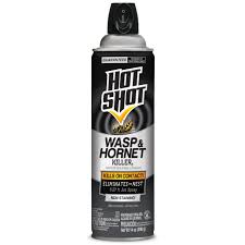 Wasp Hornet Killer3 Aerosol Hot Shot
