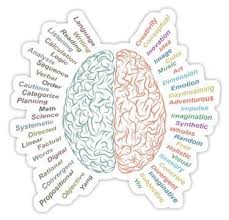 Left And Right Brain Sticker By Portokalis In 2020 Brain Art Right Brain Left Brain Right Brain