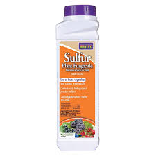 How long do chiggers live on clothing? Bonide Sulfur Plant Fungicide