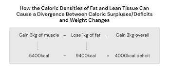 Image result for Energy Deficit Calculation