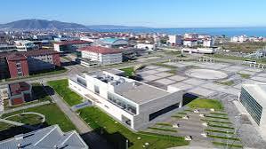 T.C. ORDU ÜNİVERSİTESİ KÜTÜPHANE VE DOKÜMANTASYON DAİRE BAŞKANLIĞI