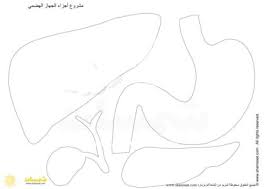 pin on مطبوعات تعليمية تسلية ومرح للاطفال