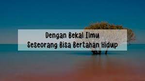 Pilih salah satu kata kata motivasi ini dan kirimkan ke seseorang yang spesial. Kata Kata Motivasi Belajar Untuk Mengejar Impian Kata Kata Bijak