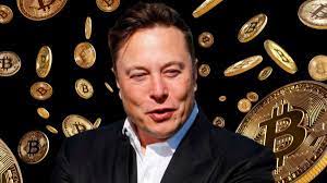 Wow Elon Musk S Bitcoin Is Worth 72 Trillion How Much Do You Have